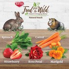 Kaytee Food From The Wild Natural Snack For Pet Rabbits  Guinea Pigs A