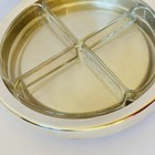 Vintage Silver Plated Crystal Serving Platter Sabattini L Sabattini 79