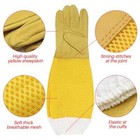 New Beekeeper Glove Protective Sleeves Ventilated Professional Anti Beehive Tool