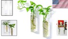 Durable Glass Hanging Planter - 2 Cylinder Propagation Station For Indoor Spaces