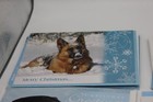 Lot Of 22 Dog Themed Christmas Cards C2092