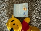 Disney Winnie The Pooh Rattle Bean Bag Plush Stuffed Animal The First Years New