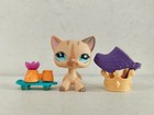 Littlest Pet Shop Figure Yellow Short Hair Cat  886 W accessories New Lps Toy