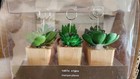Flora Bunda Artificial Plant Succulent Wood Pot Table Sign Card Holder  1case 