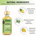Fast Hair Growth Rosemary Oil Anti Hair Loss Scalp Nourish Essential Oil Organic