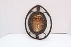 Antique Papua New Guinea Mask Yam Kaminbit Village Oceanic Ancestor Figrual Art