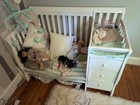 Convertible Toddler Bed W  Changing Table