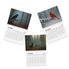 Nature And Animal Themed Wall Calendar  2025   Calendar