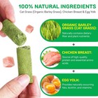 60g Cat Grass Sticks  Fresh   Delicious Freeze-dried Cat Grass Treats Edible Cat
