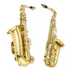 Eb Flat Alto Saxophone Kit With Lacquered Golden With Case For Beginner