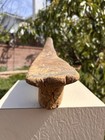 African Lobi Tribe Stool 19 5x5x4 5    Approx Original Patina African Art