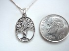 Small Entwined Olive Tree Of Life 925 Sterling Silver Necklace