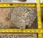 Stromatolite Fossil Wyoming 5 Pounds 2 Ounces