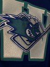 Worcester Icecats Ccm Ahl Jersey Adult Medium
