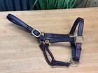 Top Quality Leather Triple Stitched Halter  W Brass Hardware   Large Pony   Cob