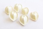 6 Beautiful White True Heart Cockle Shells  1-1 5   Beach Wedding Crafts Decor