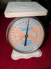 Vintage Antique American Family Nursery Scale Baby Scale 30 Lbs Bear   Elephant