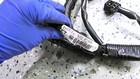 2016 Mazda 6 2 5l Engine Motor Wire Wiring Harness Gjs2-67-020c Oem