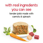 Purina Beneful Infused Pate Wet Canned Dog Food Assortment With Real Lamb