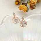 Fashion 925 Silver Filled rose Gold Hoop Earring Women Cubic Zircon Jewelry Gift