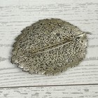 Real Skeleton Leaf Brooch Pin Silver Tone Metalized 2  Costume Jewelry