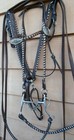 Circle Y Rolled Leather Silver Laced Horse Bridle  Breast Collar Csc Stamped Bit