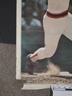 Vintage Jim Rice Poster  Boston Red Sox Slugger 24x36 Baseball Poster 