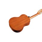 Cordoba Protege C1m 1 4 Size Classical Nylon-string Acoustic Guitar Natural