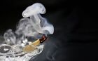 Palo Santo Incense 38  sticks Approx  1 2 Lb Size Bag 4 inches Long 