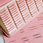 Pink Leather Bible Tabs