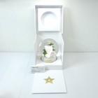 Christian Dior Snow Globe 2026 Maison House Cherry Blossom Limited 5 9  Not Sale