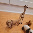 Schleich  Lot Of 5 2000 s Germany Safari Zoo Animals Giraffe Panda Lions Hippo