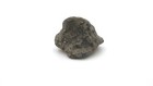 Authentic 1715 Fleet Shipwreck Musket Ball W  Mel Fisher Coa