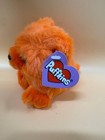 Puffkins Mango The Bear 1998 Vintage Orange Beanie Plush Swibco 5  Nwt