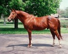 Secretariat 8 X 10 Photos Color Horse Racing Triple Crown Winner   Lot Of  2 