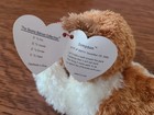 Ty Beanie Babies Sampson Dog Plush Brown   White Vintage 2001 W tag Error 