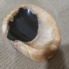 Petrified Wood Bowl  Petrified Wood Trinket Dish  Rare Petrified Wood Bowl