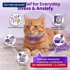 Cat Calming Collar  4 Pack - 30 Day Pheromone Calming Collars For Cats  Anxiety