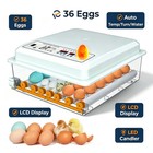 36 Egg Incubators For Hatching 120 Eggs  Incubator  Automatic Egg Turning