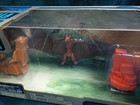 Rodan Godzilla King Of The Monsters 6  Action Figure Jakks Pacific 2019 Nib 