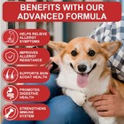 150 Dog Allergy Relief Chews Anti Itch Dog Allergy Chews With Omega 3 Fish Oil