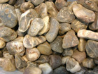  Botswana Agate Mine Rough 1-3 Inch 1 Pound Lots Free Priority Shipping 