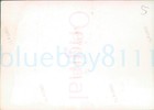 1950s  Karachi Pakistan Waving Palms At The Beach 3 5x2 5  Orig Photo 