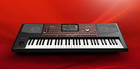 New Korg Pa700 61-key Professional Arranger Workstation Electronic Keyboard Jpn