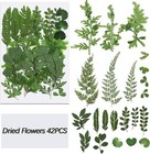 42 Pieces Dried Pressed Leaves For Resin Real Various Shades Of Green 