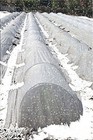 Agfabric Roll Floating Row Cover   Plant Blanket  For Frost Protection  7ftx25ft