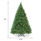 6ft Pre-lit Pvc Artificial Carolina Christmas Pine Tree Decor Hinged W led