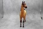 Gorgeous Peter Stone Horse Arabian Matte Red Roan    solar Noise   