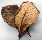 Small Bow Set Of 1 Sculpting Tools Kit