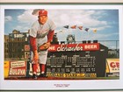 Robin Roberts  we Won The Pennant  Phillies Matted Lithograph  336 Bill Purdom